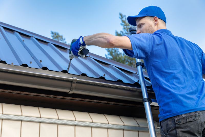 Modern Metal Roofing Options